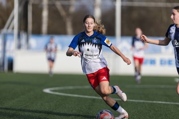 Bild 392 - wBJ Hamburger SV - Hertha BSC : Ergebnis: 2:1